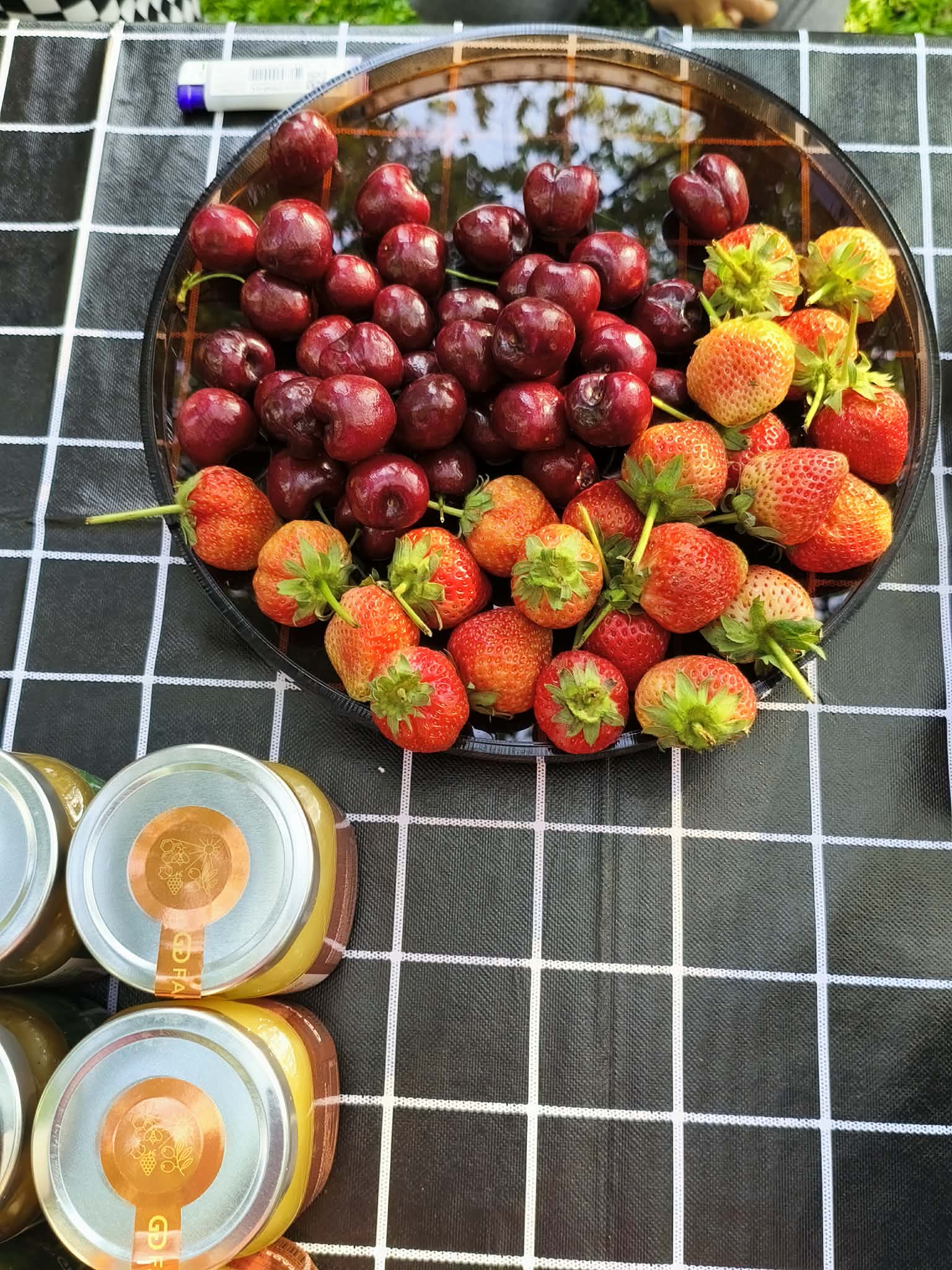 Activity photo